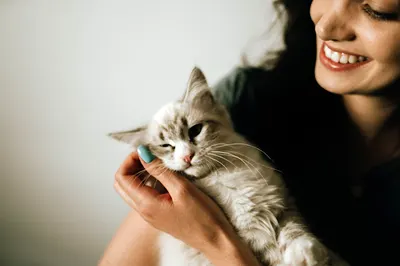 Koci specjalista- koci behawiorysta i petsitter